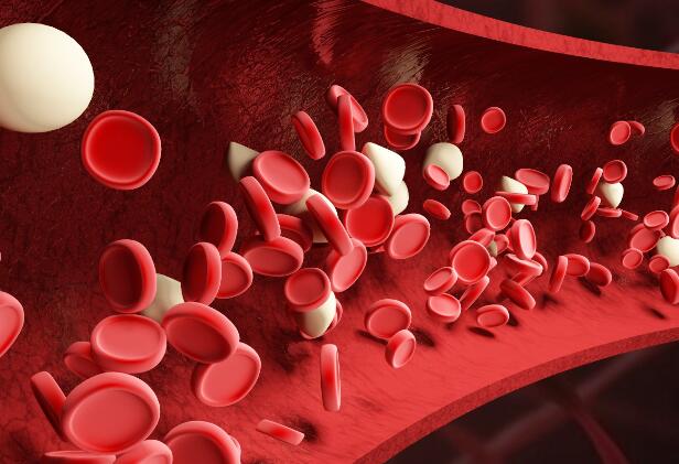 人的血液是红色的透过皮肤看静脉血管却是蓝色因为什么 血液是红色的为什么血管是蓝色的