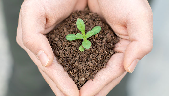 植树节节徽的意义是什么 中国植树节节徽图案的寓意
