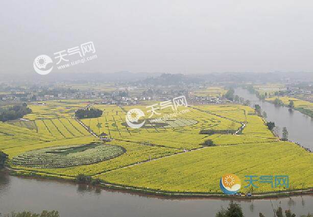 2021潼南油菜花最佳时间 潼南油菜花2021什么时候开
