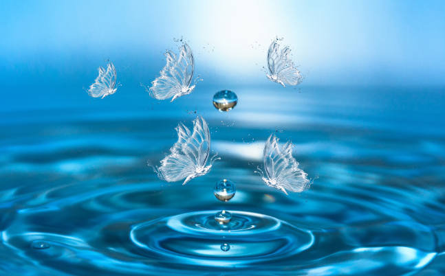 世界水日的由来 世界水日的意义是什么