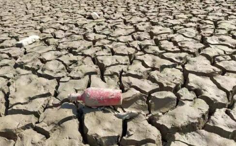 云南昆明曲靖等地出现严重干旱 全省32万人受灾