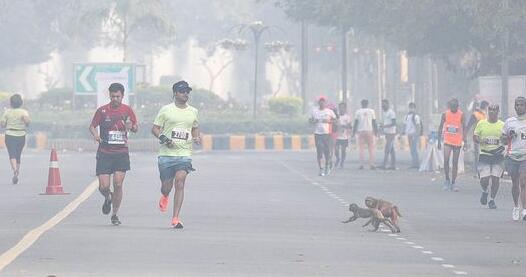雾霾天印度新德里举办马拉松赛 选手无人佩戴口罩引热议