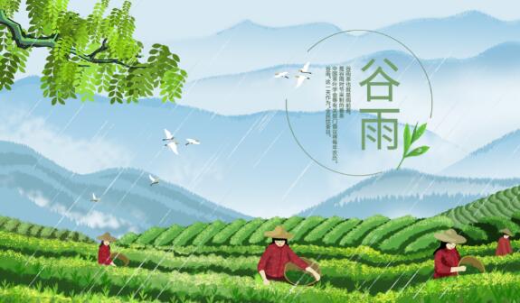 雨前茶的雨指的是什么 雨前茶的雨是什么意思