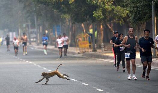 雾霾天印度新德里举办马拉松赛 选手无人佩戴口罩引热议
