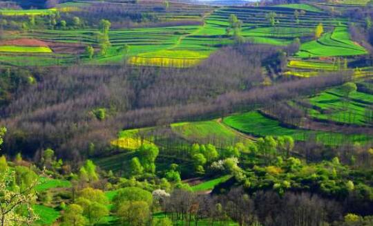 国家林业和草原局：全球增绿的四分之一来自中国