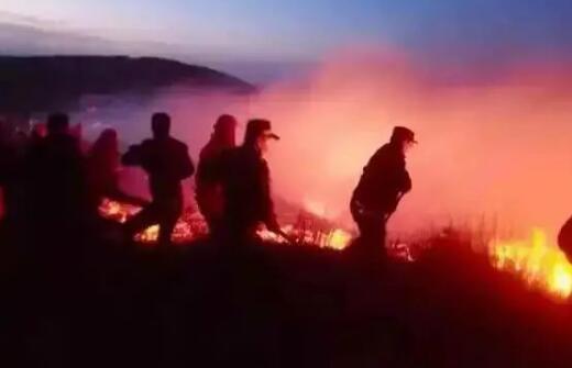 昆明盘龙区山火最新消息今天 火场明火全部扑灭起火原因调查中