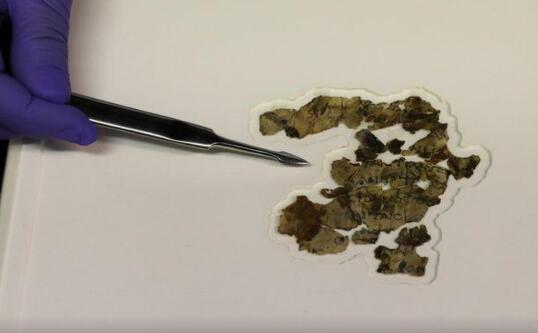 以色列发现新死海古卷残片 考古学家：可能1900年前犹太人的