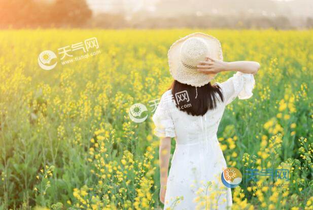汉阴油菜花节2021什么时候 最新汉阴油菜花节时间地点路线