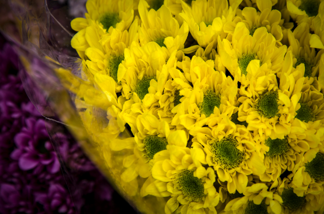 清明节是什么来历说法 清明节是什么节日由来