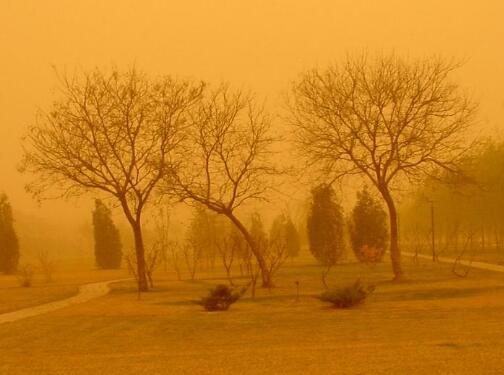 中央气象台继续发布沙尘暴黄色预警 因受冷空气影响北方多地有沙尘暴