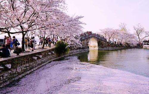 文旅部：清明出游期間感冒發(fā)熱應停止游覽
