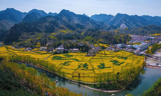 陕西汉中120万亩油菜花盛开 画面中处处可见油菜花