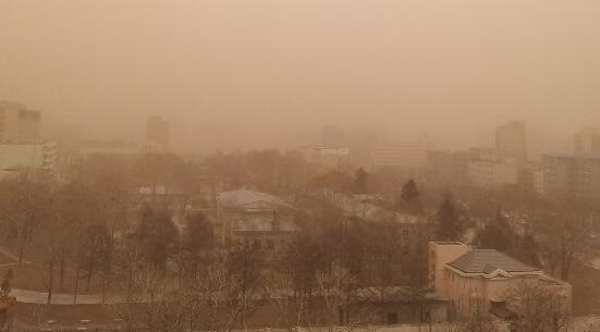 蒙古國強(qiáng)沙塵暴致16萬頭牲畜死亡 多地發(fā)生斷電斷水