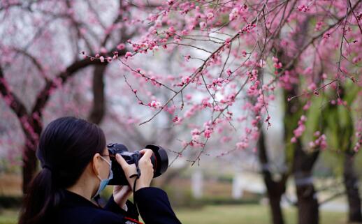 北京市官宣入春比常年早8天 气象台提醒市民做好春捂