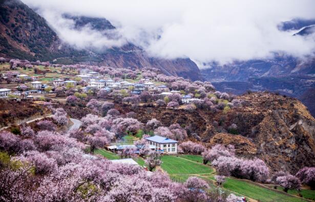 四月份适合去哪个城市旅游 4月份我国景色宜人气候舒爽的城市