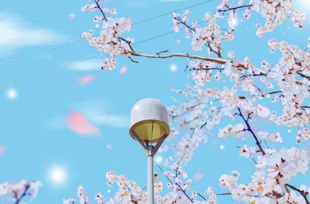 2021清明节文案简短的句子 清明节朋友圈说说文案短句