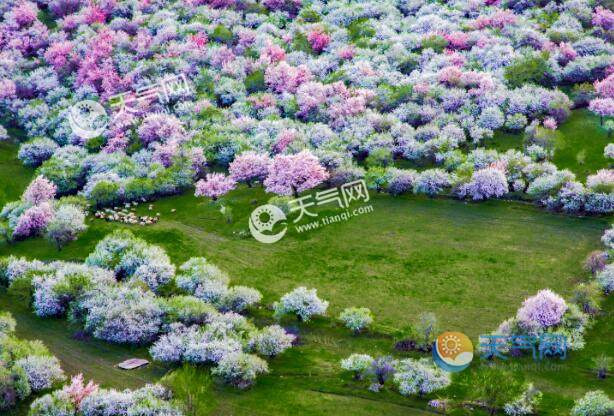 4月份情侣去哪里旅游最好 4月去这些地方邂逅最美的浪漫