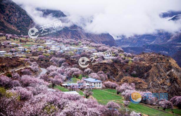 4月份情侣去哪里旅游最好 4月去这些地方邂逅最美的浪漫