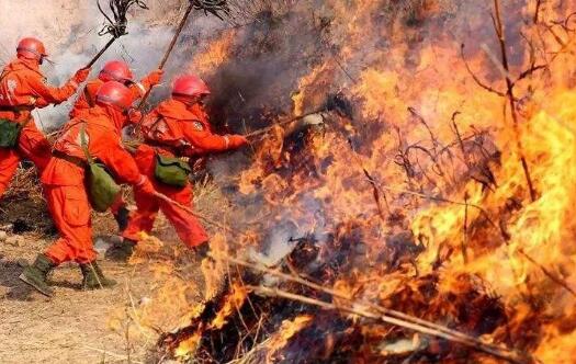 四川凉山州木里县发生森林火灾 目前暂无人员伤亡