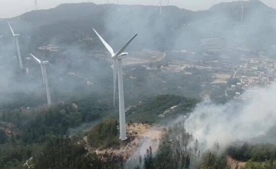 福建漳州一城镇发生森林火灾 现场无人员伤亡原因在调查