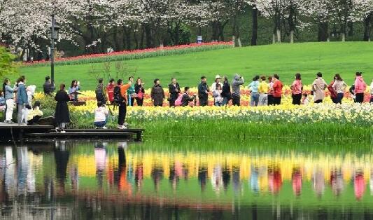 京津冀地区逐步进入飞絮盛飞期 北京朝阳通州等五区花粉浓度极高