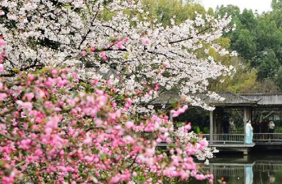 京津冀地区逐步进入飞絮盛飞期 北京朝阳通州等五区花粉浓度极高