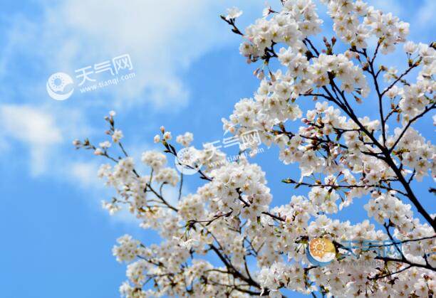 4月北京去哪看花 4月份北京看花海必去的地方