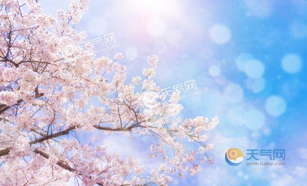 4月重庆去哪里看花 四月重庆及周边赏花踏青的好去处 