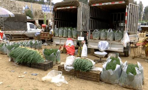 全国多地菜市出现掉色香葱是怎么回事 食品药品最新检测报告出炉