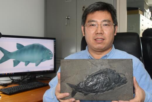 贵州发现2.44亿年前大型盘州暴鱼 网友：看上去有点凶