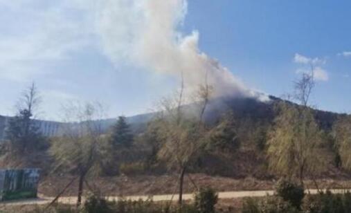 应急管理部：今年4月全国多地林区森林火灾风险高