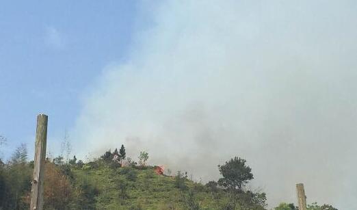福州一村落发生森林火灾 目前明火被全部扑灭无人伤亡