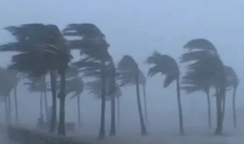 美国路易斯安那州遭遇强风暴 2人死亡12.1万户家庭停电