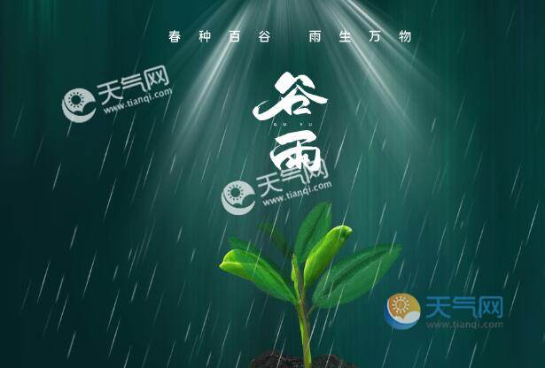 谷雨是第几个节气谷雨是二十四节气的第几个