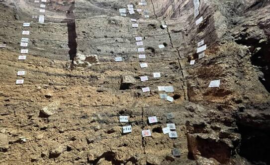 2020年度全国十大考古新发现揭晓 贵州贵安招果洞遗址脱颖而出