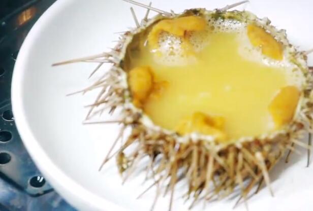 海胆蒸蛋是道什么菜 海胆蒸蛋的做法是怎么样的