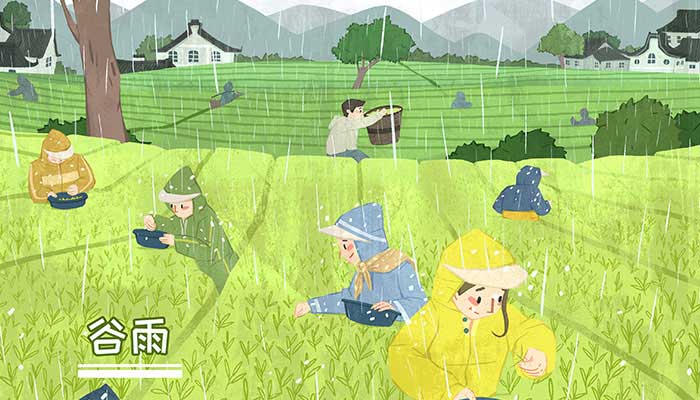2021谷雨吃什么养生 谷雨节气吃什么食物养生