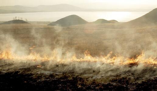 蒙古国达里甘嘎县野火最新消息今天 野火已被扑灭火灾原因正在调查