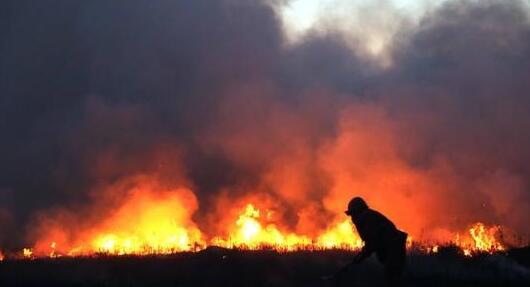 蒙古国草原大火蔓延至中国境内 目前扑救工作仍在进行中