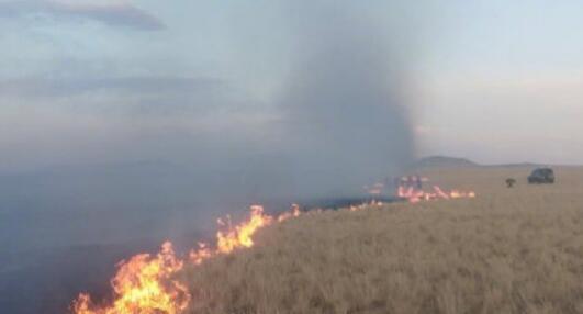 内蒙古全力阻截蒙古国草原大火入境 火灾原因正在调查中