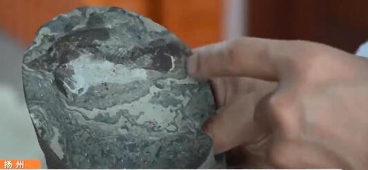 江苏油田发现6000万岁鱼化石 网友：重要性堪比三星堆