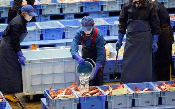 日本要把福岛食材推上奥运会餐桌 韩国：我们自带食物