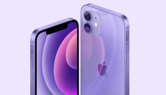 苹果发布紫色iPhone12 网友：感觉自己手机的颜色不香了