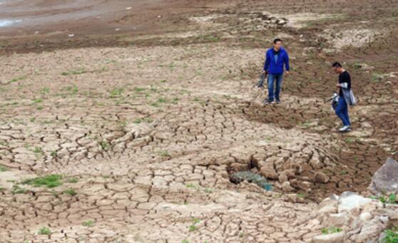 深圳发布今年首个干旱预警 气象干旱何时才能缓解