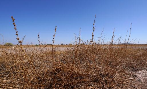 美国西部超7成土地处于大旱之中 部分县市进入干旱紧急状态