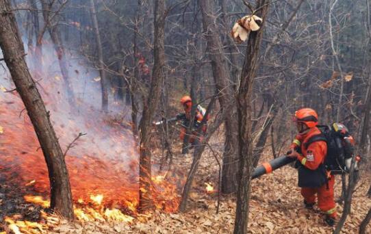 国家森防办：近五年山火原因人为因素占97％