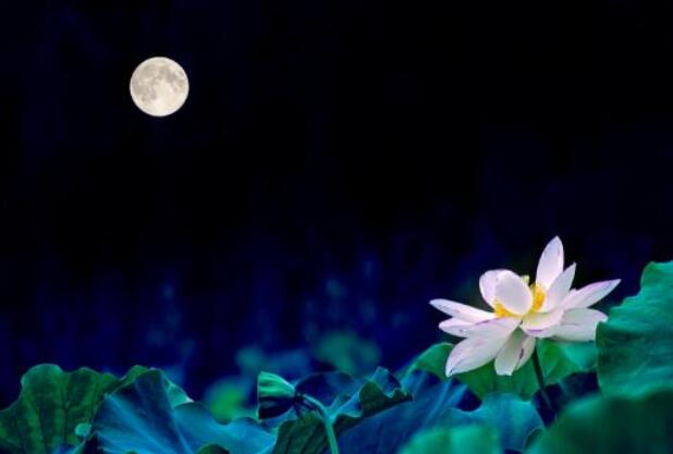 超級(jí)月亮2021年在什么時(shí)候出現(xiàn)  2021超級(jí)月亮?xí)r間表一覽