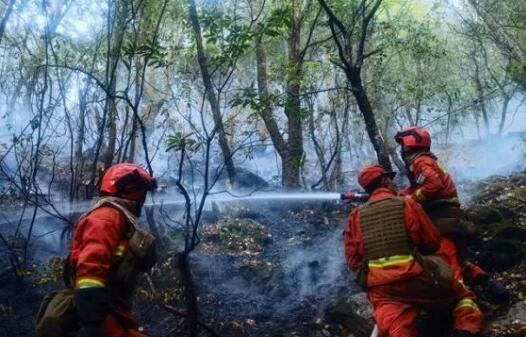四川冕宁森林大火已被扑灭 目前未发生人员伤亡