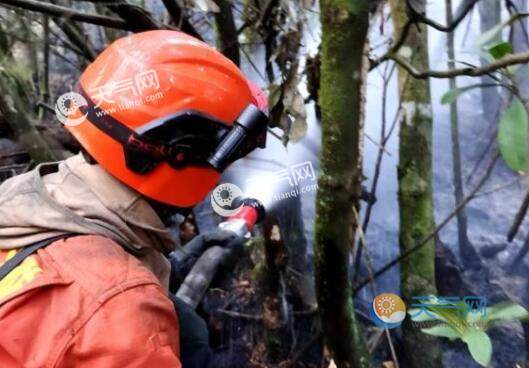 四川冕宁森林大火已被扑灭目前未发生人员伤亡