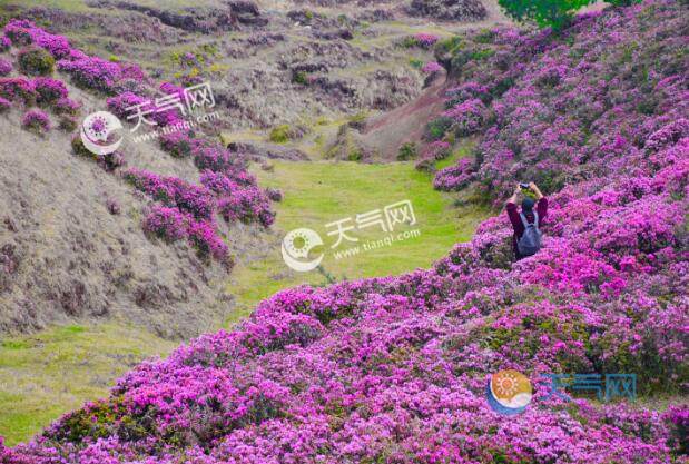2021五一昆明周边哪里好玩 五一劳动节昆明周边游玩必去景点
